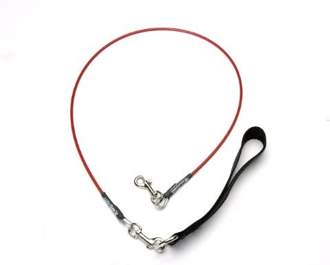 virchewly indestructible leash for dogs