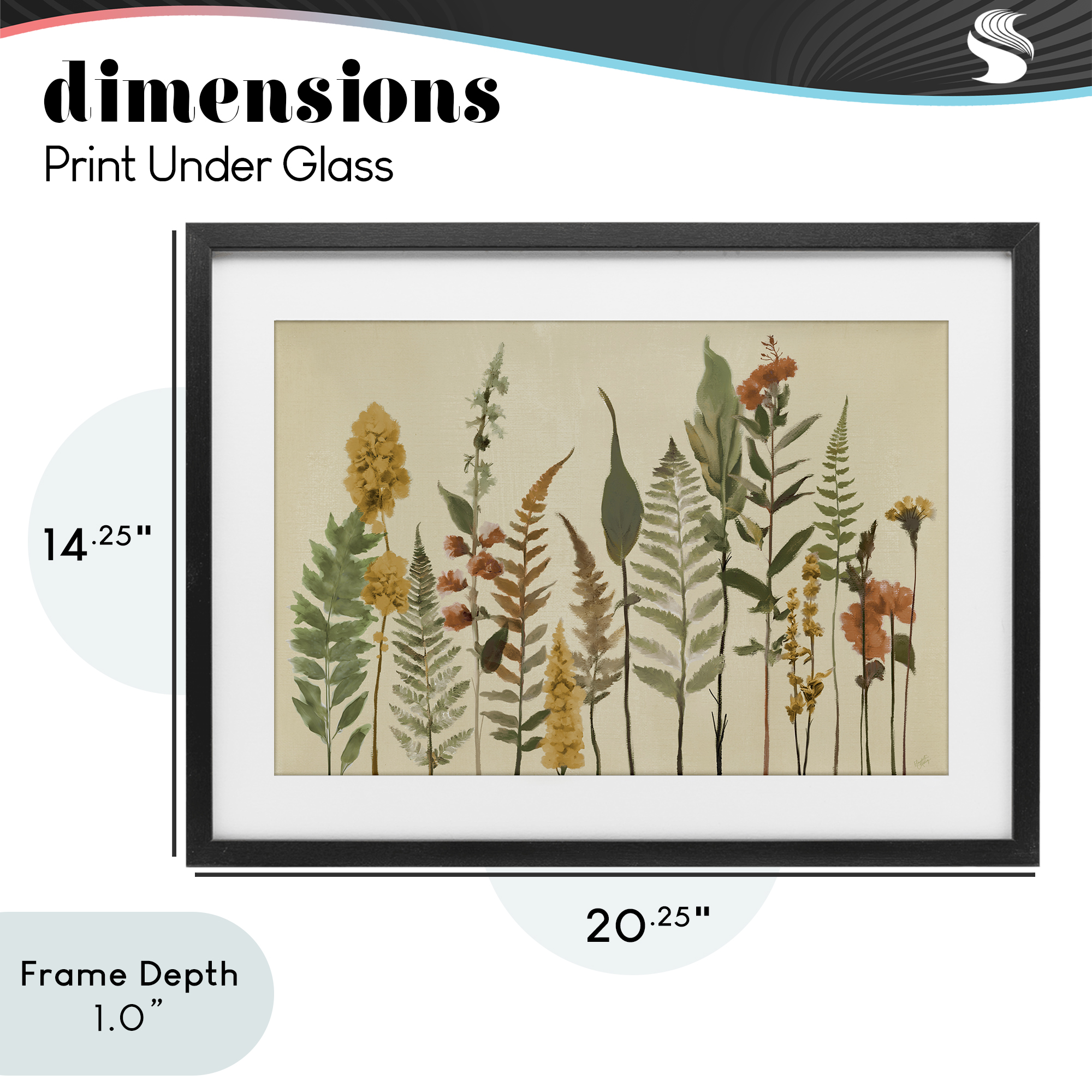 Stupell Industries Fall Toned Botanics Black Framed Print Under Glass, design by Elizabeth Medley