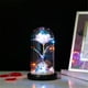 thumbnail image 1 of Cúpula de cristal romántica multicolor con flores artificiales y luces LED | Base de madera de pino para San Valentín, bodas y regalos navideños | Decoración del hogar de 11 x 20 cm, 1 of 7