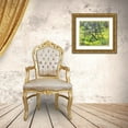 thumbnail image 3 of Talbot Frank, Christopher 14x12 Gold Ornate Wood Framed with Double Matting Museum Art Print Titled - CA, San Diego Mustard plants in Cleveland NF, 3 of 4