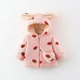 thumbnail image 2 of FDDMis Jacket for Toddler Girl Baby Girl Coat 9-12 Months Baby Coats Boys Sherpa Lined Hoodie New Born Girl Clothes Infant Clothes Boys 3-6 Months, 2-3 Years, 2 of 9