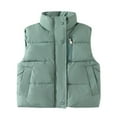 thumbnail image 2 of Hicidod Toddler Down Vest Lightweight Fashion Solid Color Zipper Button Puffer Jackets Winter Warm Sleeveless Casual Coats, 2 of 7