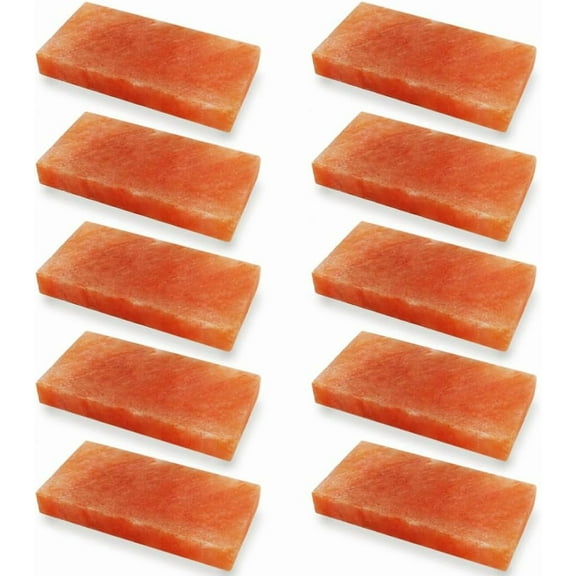 Himalayan Salt Bricks 8"x4"x1" for Sauna and Spa - Pack of 10 Himalayan Pink Salt Tiles for Building Salt Wall, Bulk Salt Block for Home Décor & DYI Projects
