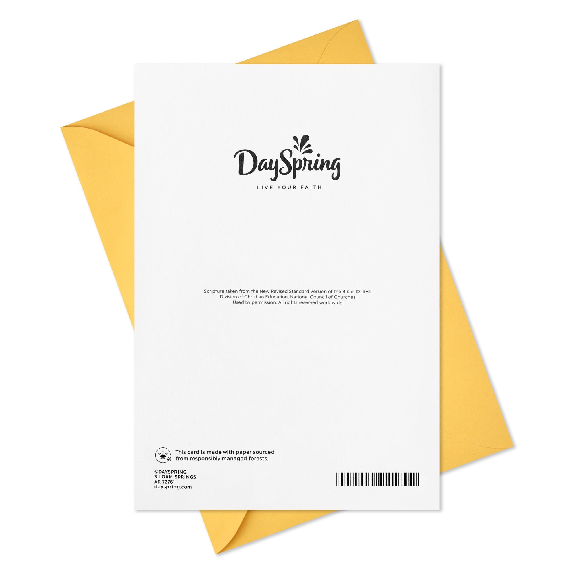 DaySpring Religious Birthday Card for Priest (God's Love Shines Through You)