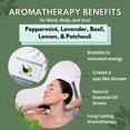 thumbnail image 3 of Vaporizadores de ducha The Herbal Zen Aromaterapia con aceites esenciales, 3 of 9