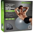 thumbnail image 2 of Iron Body Fitness Pro Series Stability Ball, 65 cm Anti-Burst PVC Exercise Ball with Pump, 2 of 5