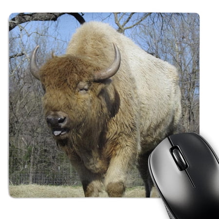 3dRose  American Bison - buffalo  MousePad price history on PriceWatchPro