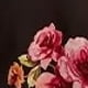 Pink Black