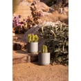 thumbnail image 5 of Veradek Mason Series Kona 10" Plastic-Stone Planter 2-Pack Gray, 5 of 10