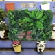 thumbnail image 4 of Fondo de pared con plantas simuladas, paneles de pared artificiales, pared de privacidad para jardín, 4 of 5