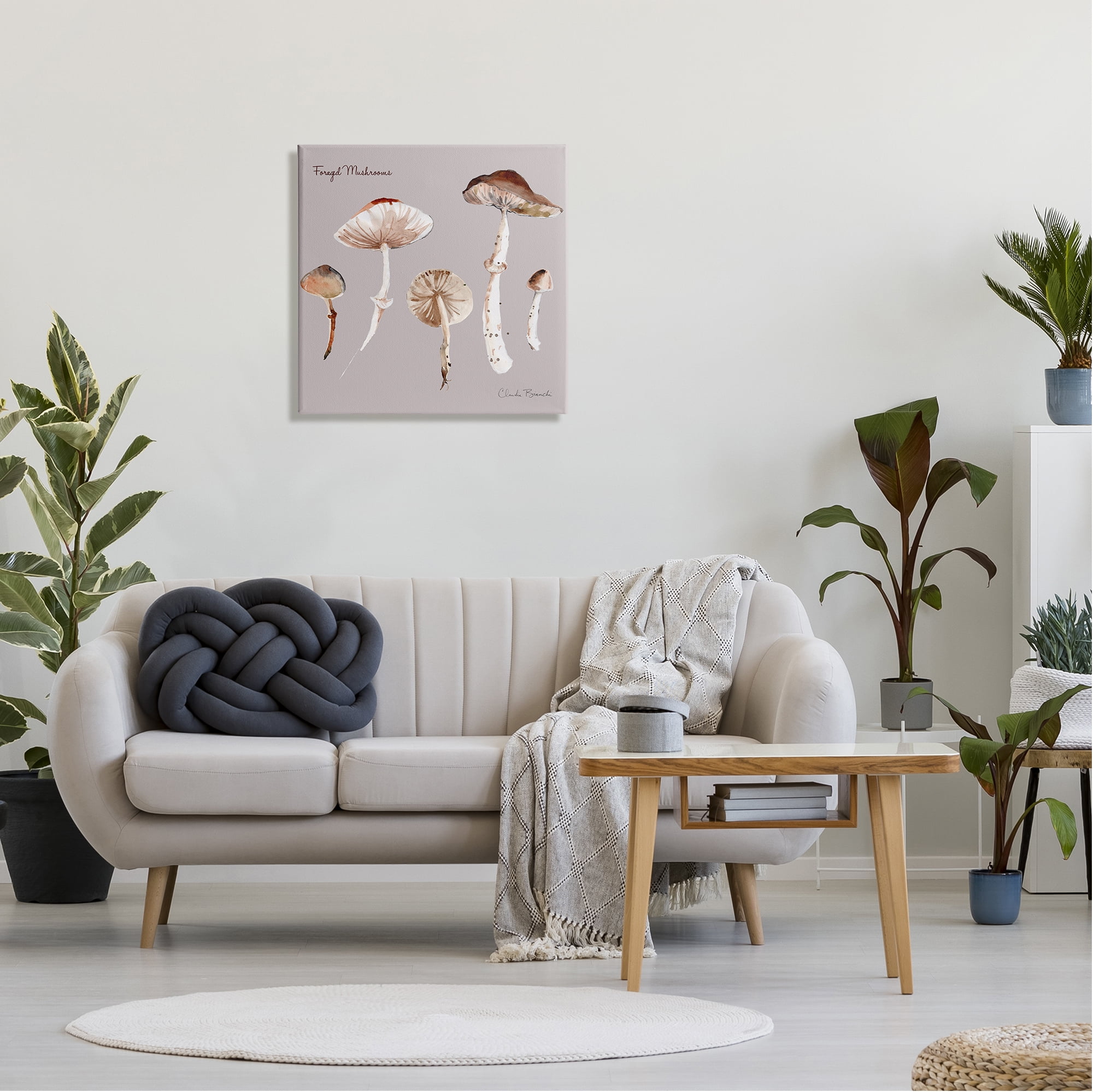 Stupell Industries Foraged Mushrooms Study Botanical & Floral Painting Gallery Wrapped Canvas Art Print Wall Art, 24 x 24