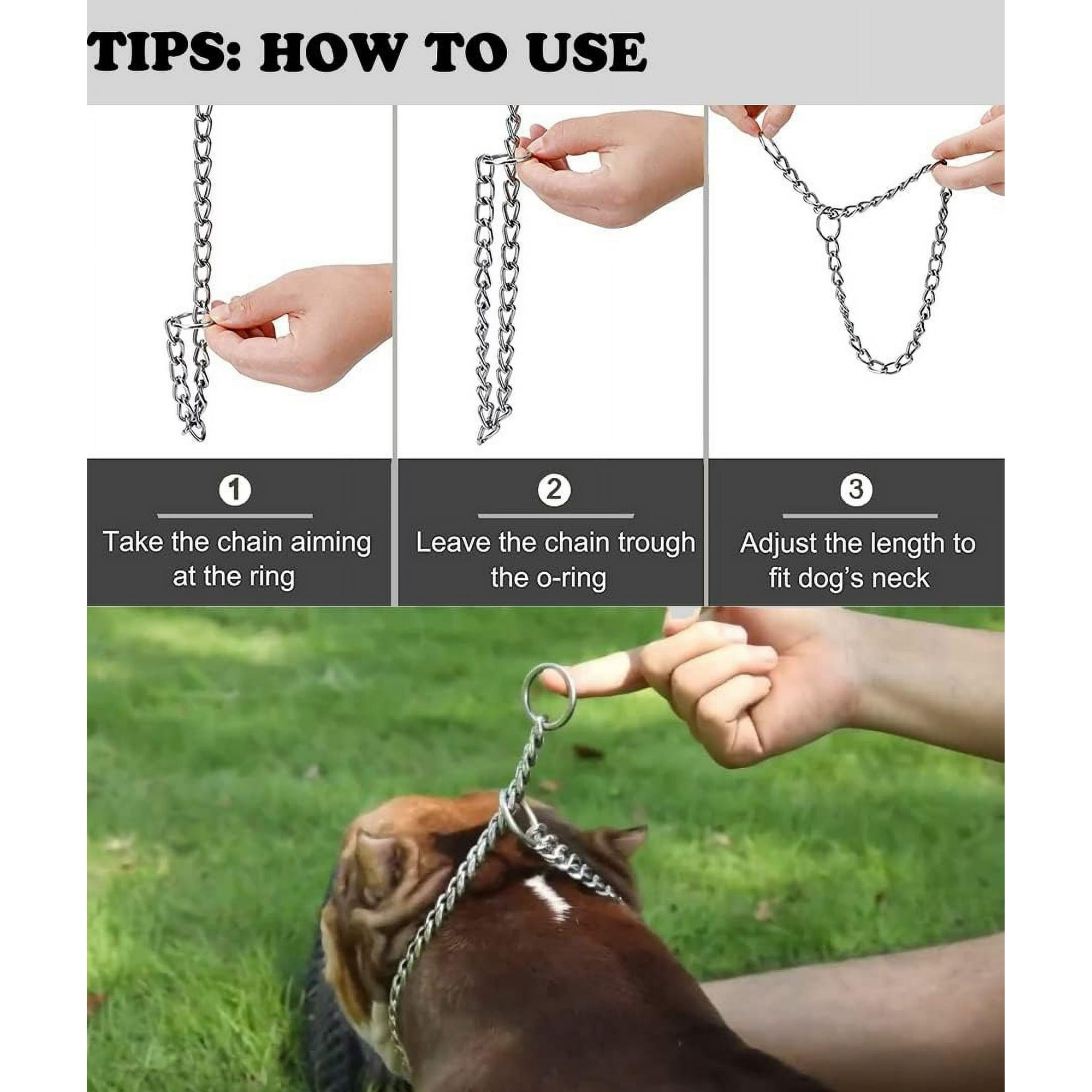Are choke collars humane 2025
