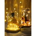 thumbnail image 1 of 1pc 10/20/30 Led 1/2/3m Copper String Light, Decorative Night Light For Home Decor,battery-operated LED fairy tale light-3 modes, 1 of 4