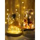 thumbnail image 1 of 1pc 10/20/30 Led 1/2/3m Copper String Light, Decorative Night Light For Home Decor,battery-operated LED fairy tale light-3 modes, 1 of 4