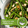 thumbnail image 5 of Contender Green Bean Seeds - Non GMO Heirloom Varieties for your Home Vegetable Garden - 3 Pack, 5 of 5