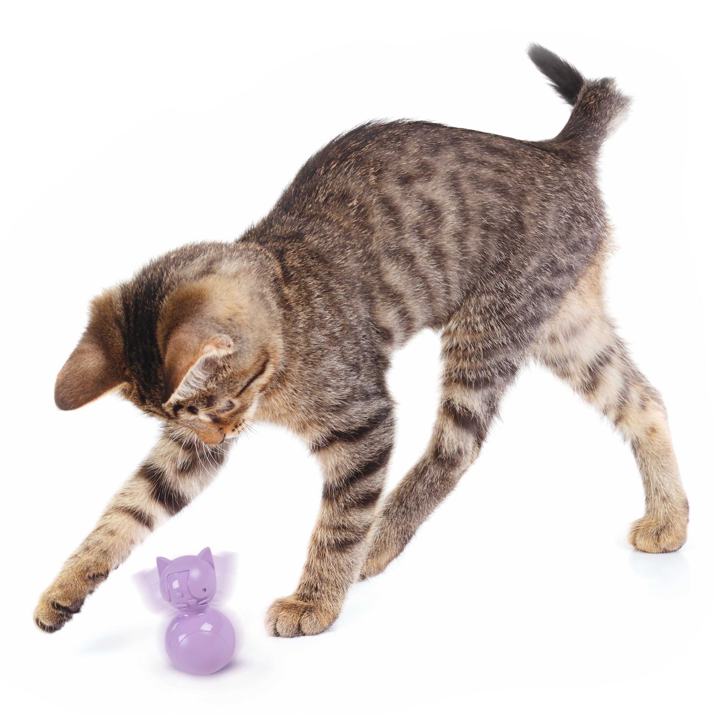 SmartyKat Teeter Tiger Cat Exercise Toy – Stimulating Motion Toy for Cats, Purple