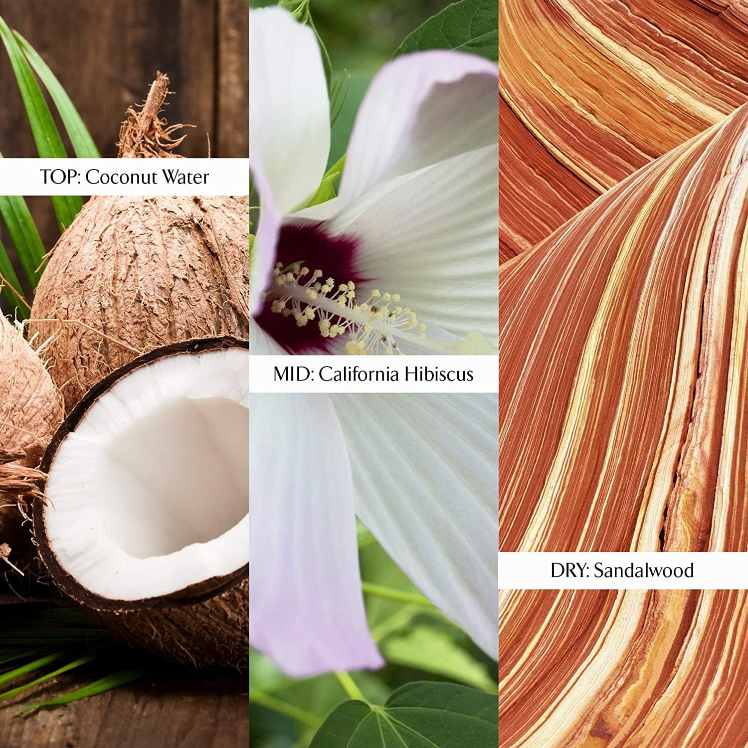 jennifer aniston chapter 2