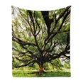 thumbnail image 1 of Nature Soft Flannel Fleece Throw Blanket, Largest Monkey Pod Tree in Thailand Eastern Green Big Branches Growth Eco Photo, Cozy Plush for Indoor and Outdoor Use, 50" x 70", Green Brown, by Ambesonne, 1 of 6