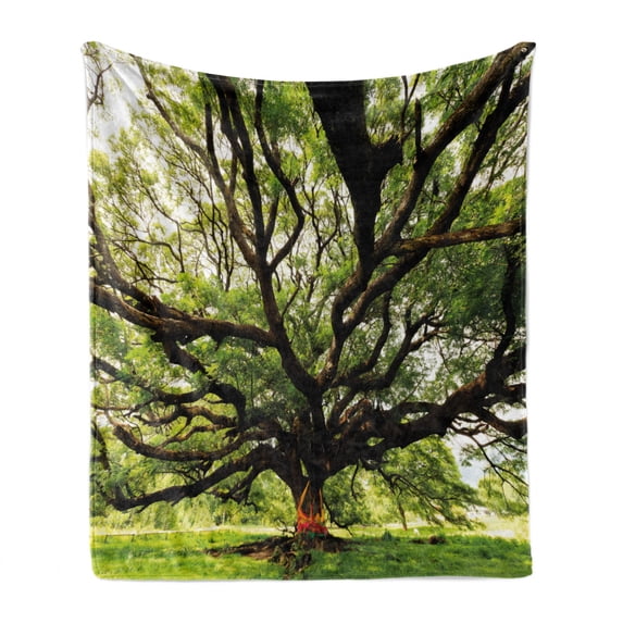Nature Soft Flannel Fleece Throw Blanket, Largest Monkey Pod Tree in Thailand Eastern Green Big Branches Growth Eco Photo, Cozy Plush for Indoor and Outdoor Use, 50" x 70", Green Brown, by Ambesonne