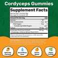 thumbnail image 3 of Fungies Cordyceps Mushroom Gummies, Supports Energy, Endurance, Performance, Supplement, 30 Count, 3 of 10