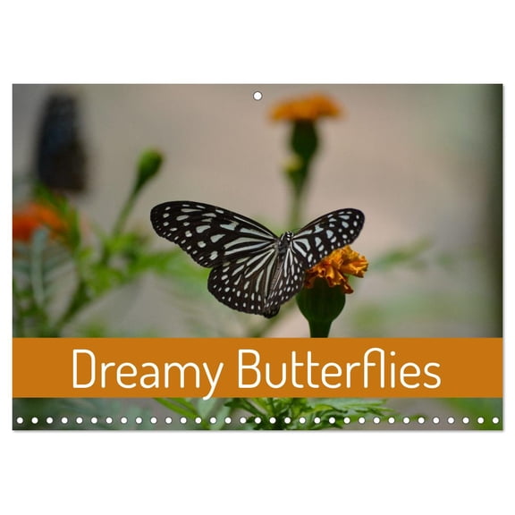 Dreamy Butterflies (Monthly Wall Calendar 2026 16.5 x 23.4 (open)), CALVENDO 14 Month Calendar