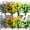 Colorful, variant on ZOELNIC 8 Bundles Artificial Flowers Outdoor, Plastic Faux Flowers Plants UV Resistant Greenery Plants Artificial Fake Plants Indoor Outside Home Garden Spring Summer Decor(Fuchsia)