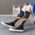 thumbnail image 3 of Lsque Squirrel Sleeping In Tree Printed Crew Socks Men's Women's LightWeight Thin Casual Calf Socks ,Knee High Socks,Cotton Socks, 3 of 9
