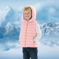 thumbnail image 2 of SGMVNU Toddler Boys Girls Hooded Puffer Vest Lightweight Sleeveless Zipper up Jacket Gilet Winter Coats with Pockets for Kids(Size 3-4 Years, Pink), 2 of 7
