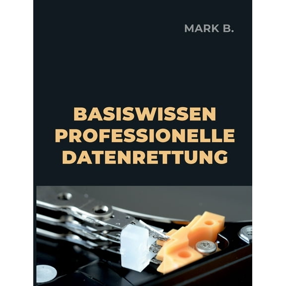 Basiswissen professionelle Datenrettung, (Paperback)