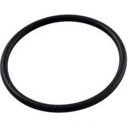 Pentair R172319 Bottom O-Ring for Pool or Spa In-Line Automatic Feeder