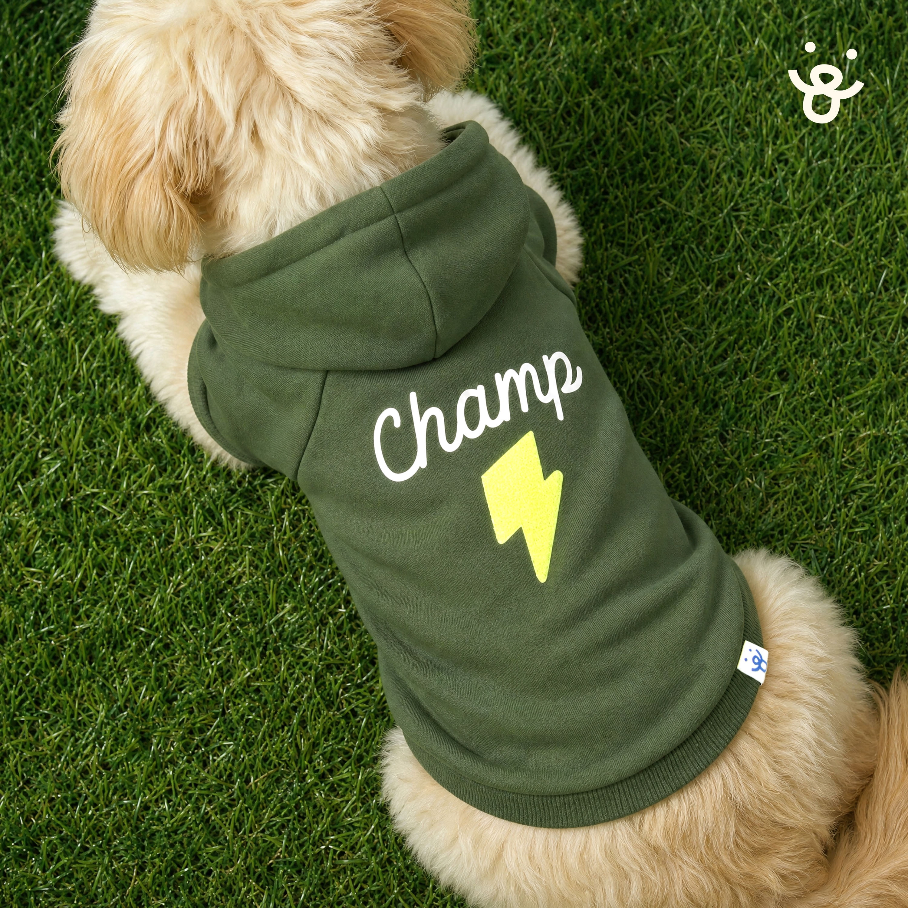 Oodles Champ Fall Lightning Bolt Dog Hoodie, Green, XL
