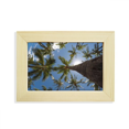thumbnail image 1 of Trees Sunshine Blue Sky Desktop Decorate Photo Frame Picture Art Painting 5x7 inch, 1 of 3