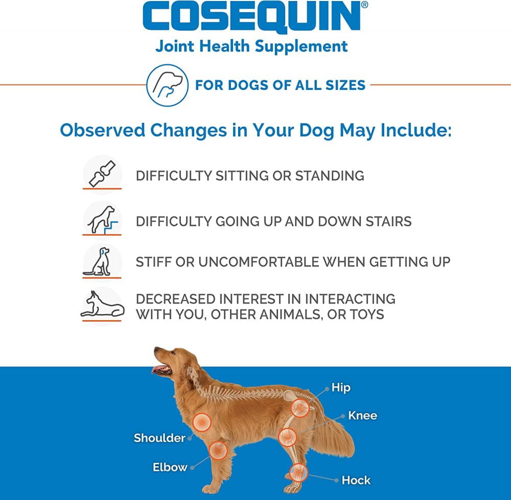 Cosequin ds hotsell chewable tablets