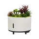 thumbnail image 4 of Difusor de aceites esenciales Gloria humidificador con altavoz y planta realista 200 ml, 4 of 9