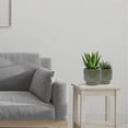 thumbnail image 3 of S-HOME Set of 3 Antique Light Green Ceramic Planters, 15" 12" 9" Modern Flower Pots for Indoor/Outdoor, 3 of 11