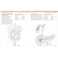 thumbnail image 7 of The Human Body Coloring Book: The Ultimate Anatomy Study Guide, Second Edition, 264 pages (Edition 2) (Hardcover), 7 of 7
