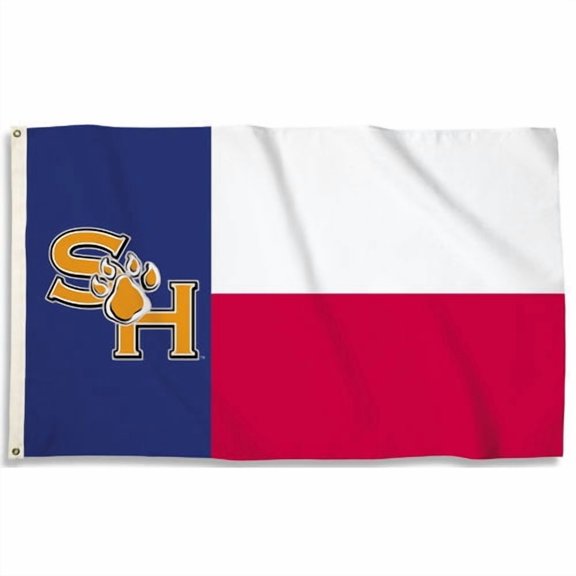 Team Pro-Mark NCAA Polyester 3 x 5 ft. Flag