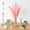 A, variant on Bowayaoa Dried Grass Decor, Stems Pampas Grass Contains Bunny Tails Dried Flowers, Reed Grass Bouquet for Wedding Boho Flowers Home Table Decor, Rustic Farmhouse Party