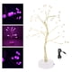 thumbnail image 3 of Luz de árbol LED jinwen Estrella 72LED Lámparas de árbol, 3 of 5