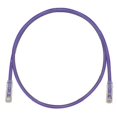 thumbnail image 2 of Panduit TX6 PLUS - Patch cable - RJ-45 (M) to RJ-45 (M) - 10 ft - UTP - CAT 6 - stranded - violet, 2 of 2