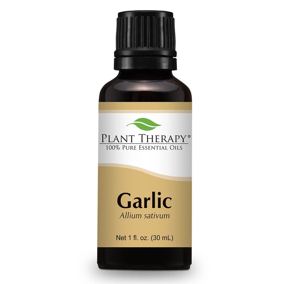 Plant Therapy Garlic Essential Oil 30 mL (1 fl. oz.) 100 Pure