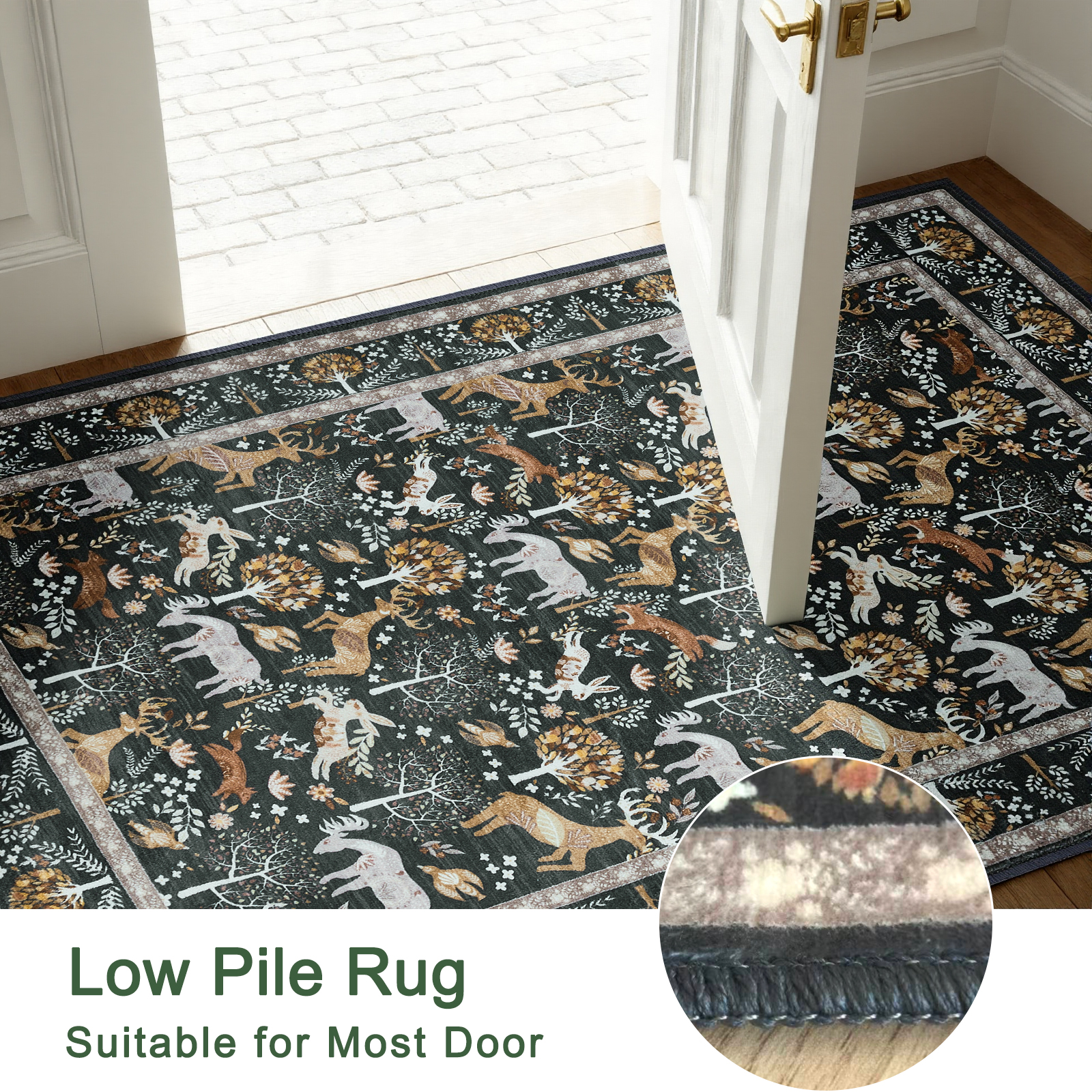 2x3 Indoor Entryway Rug, Small Washable Area Rug Non-Slip Vintage Door Mat Entrance, Animal Low Pile Floor Carpet for Door, Entrance, Hallway,Farmhouse,Bathroom, Bedroom