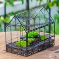 thumbnail image 3 of NCYP Geometric Glass Terrarium with Front Opening Door, House Shape Closed Micro Landscape Planter Box for Small Succulent, Cacti - Home Indoor Tabletop Decor, Handmade, Black (No Plants), 3 of 8
