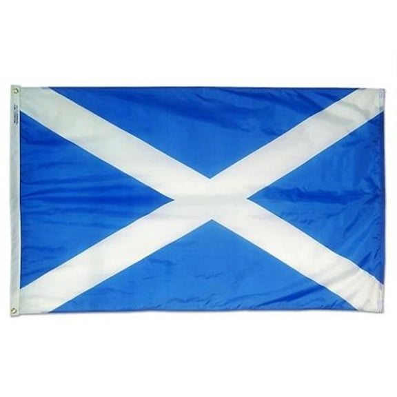 Annin Flagmakers 221109 4 x 6 ft. Nylon - Glo St Andrews Cross Flag
