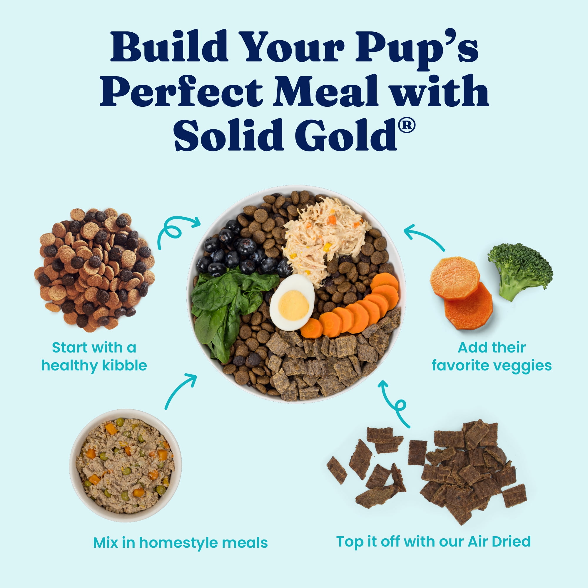 Solid Gold Homestyle Meals, Meal Topper for Dogs to Support Skin & Coat, Chicken & Rice Recipe, 9oz Pouch