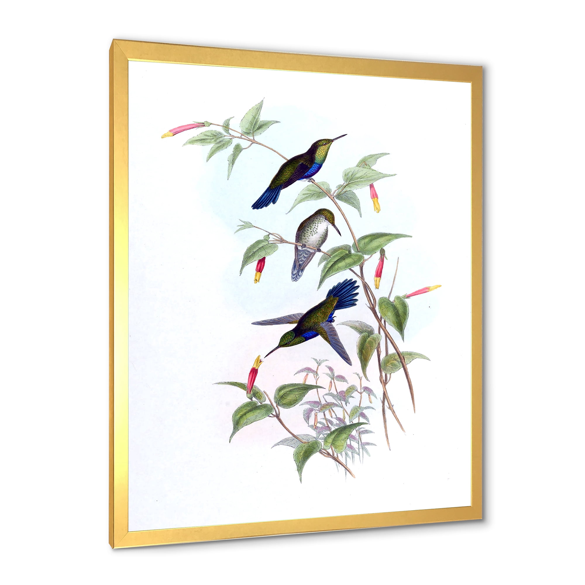 Designart 'Ancient Hummingbird I' Traditional Framed Art Print