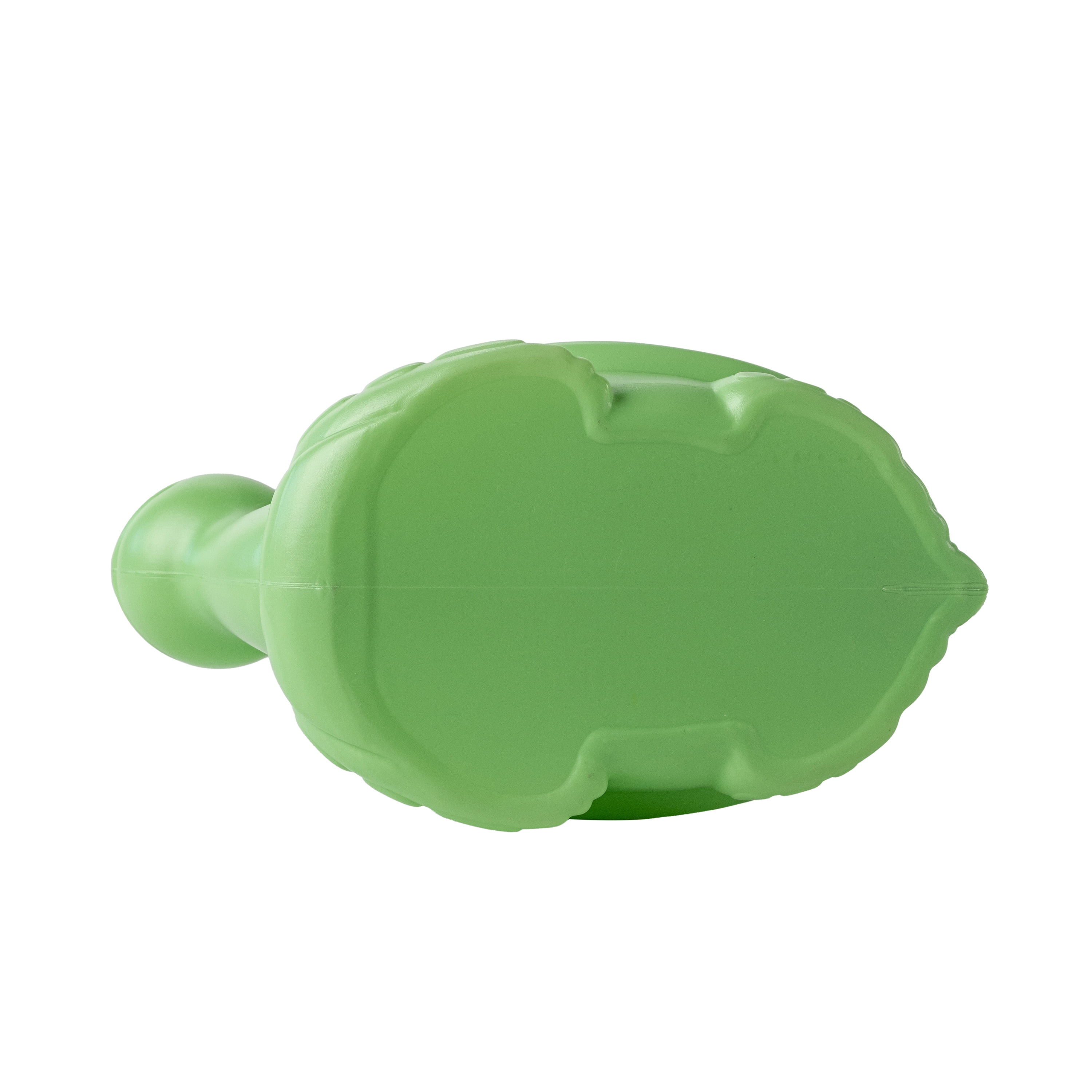 Expert Gardener Green Plastic Turtle Kids Watering Can