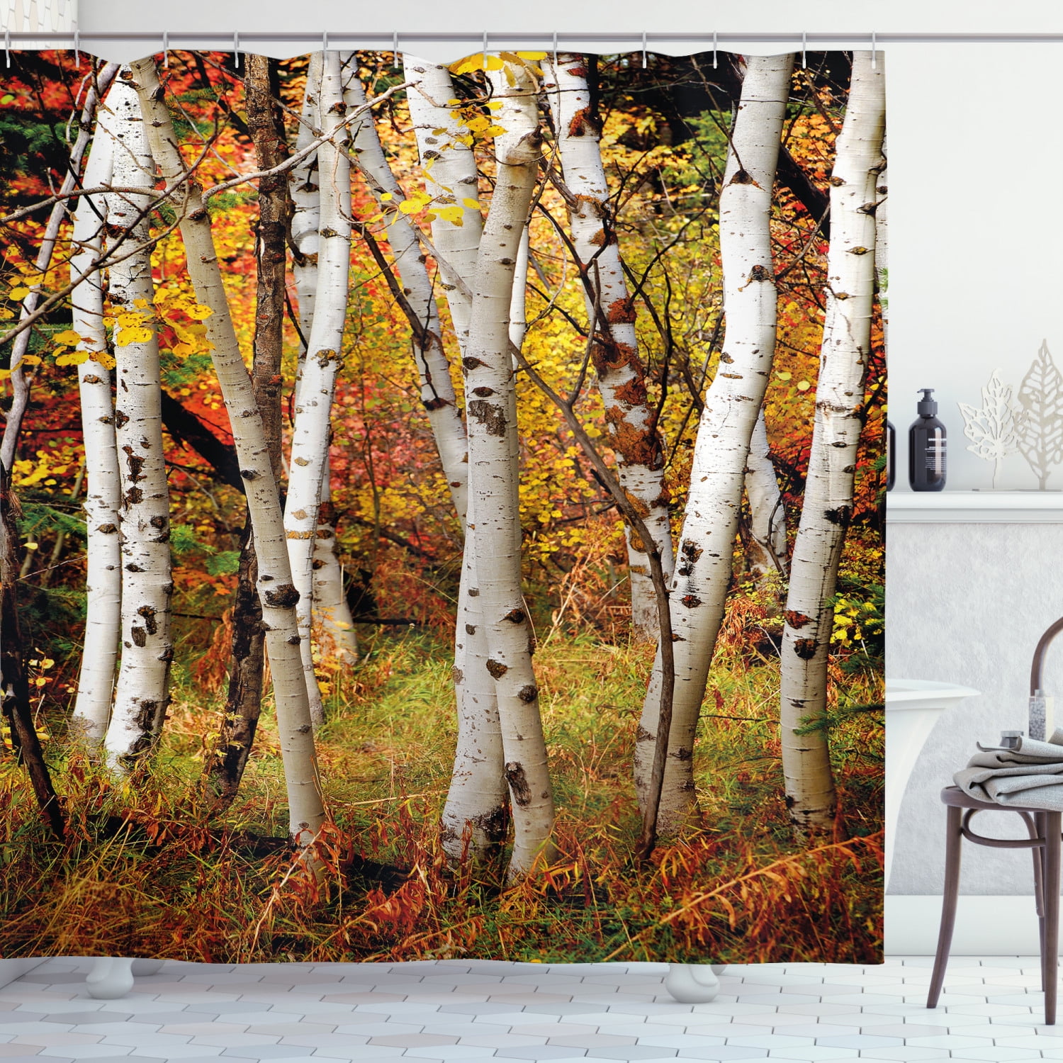 Ambesonne Fall Shower Curtain, White Birch Trees Serenity, 69