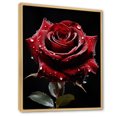thumbnail image 2 of Designart "Rain Drops On Red Rose gracefulness" Floral Floater Framed Wall Art Print, 2 of 7