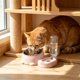 thumbnail image 1 of Comedero y bebedero dos en uno para perros y gatos: comedero y bebedero elevado con base antideslizante y diseño inclinado a 15° para facilitar la alimentación y la bebida., 1 of 6